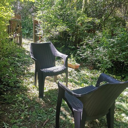 Cosy 2 Rooms Apartment With A View Near The Forest Predeal Dış mekan fotoğraf