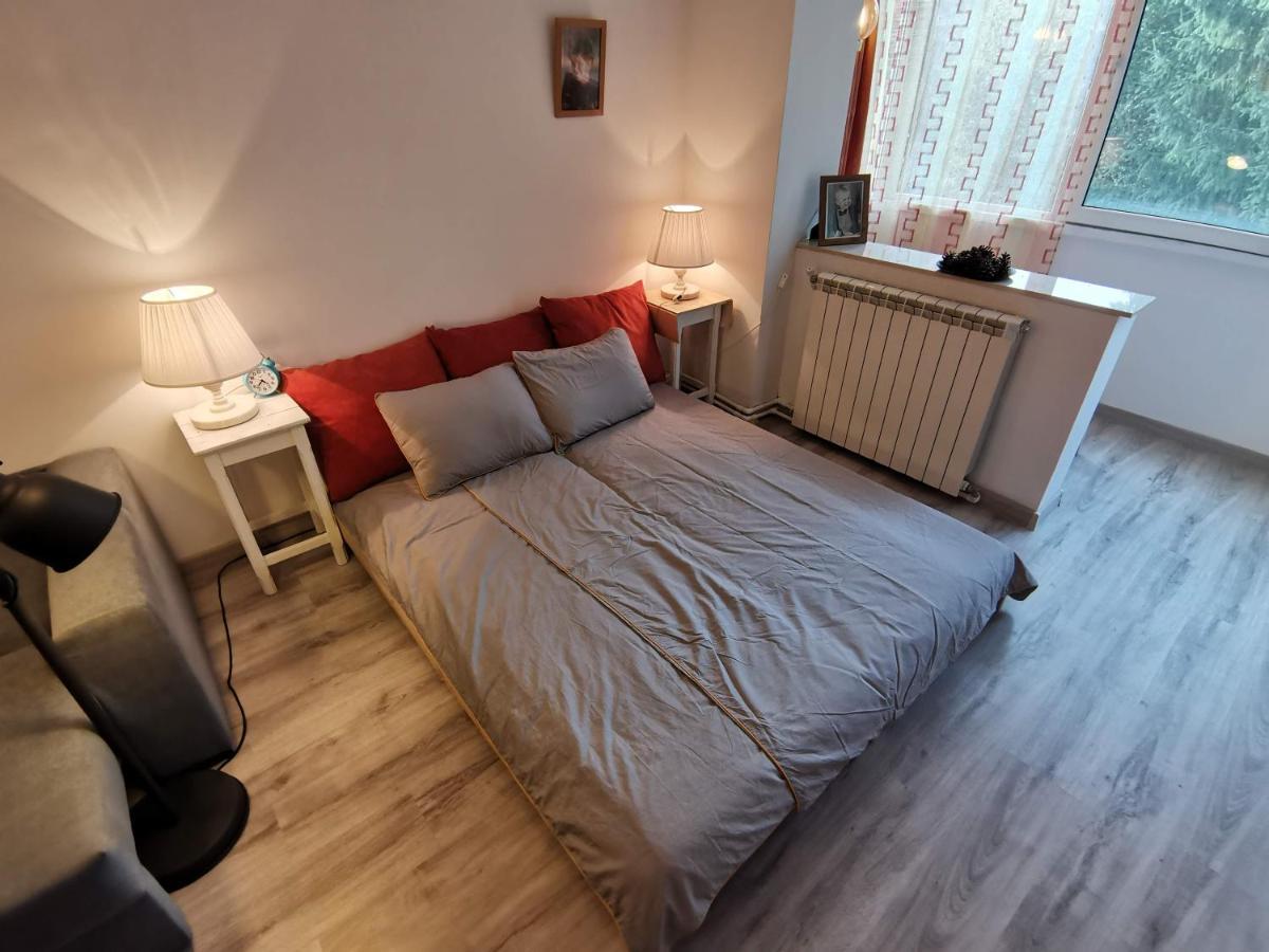 Cosy 2 Rooms Apartment With A View Near The Forest Predeal Dış mekan fotoğraf