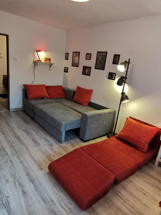 Cosy 2 Rooms Apartment With A View Near The Forest Predeal Dış mekan fotoğraf